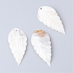 Floral White Freshwater Shell Big Pendants, Leaf, Floral White, 69.5~73x34~35x3~4mm, Hole: 3mm