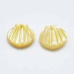 Yellow Shell Yellow Shell Charms, Shell, 9.5~10.5x10~11x2~3mm, Hole: 1mm