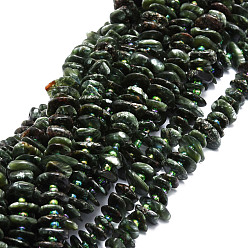 Séraphinite Perles naturelles SERAPHINITE brins, ovale, 7~12x9~15x1.5~4.5mm, Trou: 1mm, Environ 83 pcs/chapelet, 14.88'' (37.8 cm)