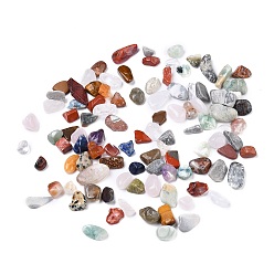 Mixed Stone Natural Gemstone Beads, No Hole/Undrilled, Chip, 8~19x8~10x2~8mm, about 458pcs/500g
