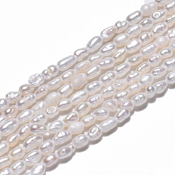 Coquillage De Mer Brins de perles de culture d'eau douce naturelles, riz, couleur de coquillage, 2.5~4.5x1.5~2.5mm, Trou: 0.5mm, Environ 79~81 pcs/chapelet, 13.78 pouce (35 cm)