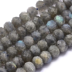 Labradorite Natural Labradorite Beads Strands, Rondelle, Faceted, 7~7.5x5.5~6mm, Hole: 1mm, about 69pcs/strand, 15.7 inch(40cm)