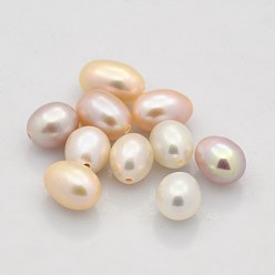 Mixed Color Natural Cultured Freshwater Pearl Beads, Half Drilled, Rice, Grade AAA, Mixed Color, 7~8x5~5.5mm, Half Hole: 1mm