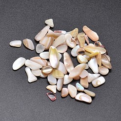 Bisque Shell Nuggets Cabochons, Bisque, 6~15x3~7mm, about 2950pcs/500g