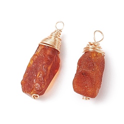 Light Gold Natural Amber Pendants, Chips Charms, with Brass Loops, Light Gold, 10~29x8~11x7~10mm, Hole: 2~2.5mm