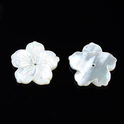 Cáscara Blanca Perlas de concha de nácar blanco natural, flor, 19.5x20x3.5~4 mm, agujero: 1 mm