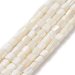White Shell Natural Sea Shell Column Bead Strands, 7x6mm, Hole: 1mm, about 63pcs/strand, 15.7 inch