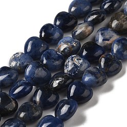 Sodalite Natural Sodalite Beads Strands, Heart, 10x10.5~11x5mm, Hole: 1.2mm, about 40pcs/strand, 15.35''(39cm)