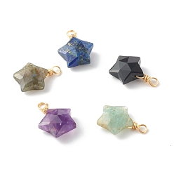 Mixed Stone Natural Mixed Gemstone Charms, with Golden Brass Findings, Star, 19.5x14x6.5mm, Hole: 2.5mm