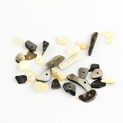 Noir Coquille de lèvre noire naturelle chips de perles, tessons shell, noir, 6~16x1~6x2~4.5mm, Trou: 1mm