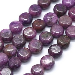 Лепидолит Натуральный лепидолит / пурпурный слюдяный камень бисер пряди, сподуменовые бусы, плоско-круглые, 8x4.5 мм, отверстие : 1 мм, около 52 шт / нитка, 15.9 дюйм (40.5 см)