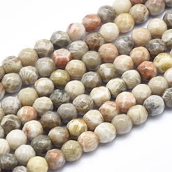 Fossil Coral Natural Fossil Coral Beads Strands, Faceted, Round, 4mm, Hole: 0.8mm, about 103pcs/strand, 15.3 inch