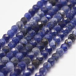 Sodalite Natural Sodalite Bead Strands, Faceted, Round, 3mm, Hole: 0.5mm, about 127pcs/strand, 15.2 inch