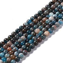 Apatite Perles naturelles apatite brins, ronde, 6mm, Trou: 0.8mm, Environ 67 pcs/chapelet, 15.35'' (39 cm)