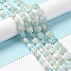 Amazonite Chapelets de perles amazonite naturelles  , formes mixtes, 10~14x5~8.5mm, Trou: 1~1.2mm, Environ 29~40 pcs/chapelet, 15.75~16.14 pouce (40~41 cm)