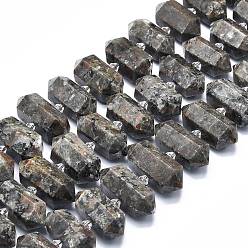 Syenite Hebras de cuentas de roca de sienita fluorescente natural (brillan bajo la luz ultravioleta), facetados, puntiaguda / bala de doble terminación, 20~31x12~14x10~13 mm, agujero: 1.8 mm, sobre 23~24 unidades / cadena, 15.55 pulgada (39.5 cm)