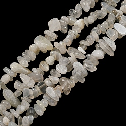 Pierre De Lune Chapelets de perles naturelles moonstone  , puce, 1.5~5x3~13x2~8mm, Trou: 0.6mm, 30.94~31.97'' (78.6~81.2 cm)