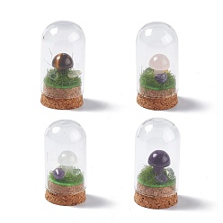 Pierre Mélangete Décoration d'affichage de champignons en pierre naturelle mélangée avec couvercle cloche en verre, Ornements de cloche de base en liège pour la décoration de la maison, 30x57.5mm