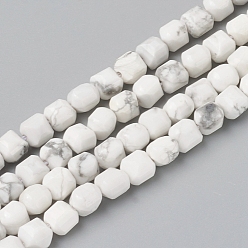 Howlite Natural Howlite Beads Strands, Faceted, Cube, 6~6.5x6~6.5x6.5mm, Hole: 1mm, about 62pcs/strand, 14.8 inch(37.6cm)