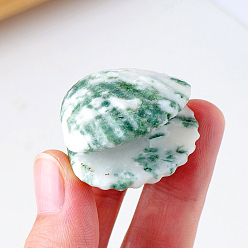 Moss Agate Natural Moss Agate Display Decorations, for Home Office Desk, Shell Shape, 30~35mm