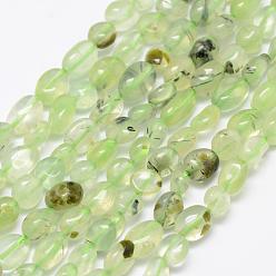 Prehnite Natural Prehnite Beads Strands, Tumbled Stone, Nuggets, 6~8x4~6mm, Hole: 1mm, 15.3 inch(39cm)
