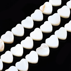 Freshwater Shell Natural Freshwater Shell Beads Strands, Heart, 8x8x3mm, Hole: 0.8mm, about 44pcs/strand, 14.37 inch(36.5~37cm)