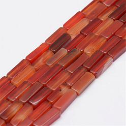 Красный Агат Природного сердолика нитей бисера, кубоид, окрашенные, 13x5x5 мм, отверстие : 1 мм, около 29 шт / нитка, 15.3 дюйм (39 см)