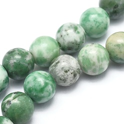 Jade Qinghai Qinghai naturelle perles de jade brins, ronde, 8mm, Trou: 1.2mm, Environ 47 pcs/chapelet, 14.9 pouce (38 cm)