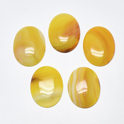 Золотистый Кабошоны из натурального полосатого агата / полосатого агата, окрашенные, овальные, золотые, 40~41x30x7~9 мм