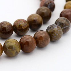 Pétrifié En Bois Bois pétrifié naturel brins de perles rondes, 4mm, Trou: 0.7mm, Environ 98 pcs/chapelet, 15.7 pouce