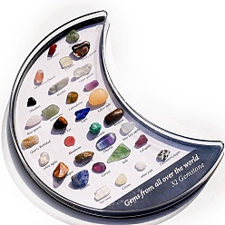 Pierre Mélangete Collections de pépites de pierres naturelles, pour l'enseignement des sciences de la terre, boîte de lune : 15.5x110x15 mm, pierre: 8~14x5~8 mm, 32 pcs / boîte