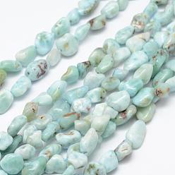 Larimar Natural Larimar Beads Strands, Tumbled Stone, Nuggets, 6~8x4~6mm, Hole: 1mm, 15.3 inch(39cm)