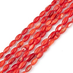 Rouge Orange Brins de perles d'eau douce naturelles teintes en coquillage, oeil de cheval, rouge-orange, 9.5x5mm, Trou: 0.8mm, Environ 41 pcs/chapelet, 14.96'' (38 cm)