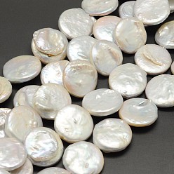 Color de la concha Hebras de perlas de agua dulce cultivadas naturales planas redondas planas, color de concha, 5~8x19~19.5 mm, agujero: 0.8 mm, sobre 20 unidades / cadena, 15.7 pulgada