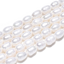Coquillage De Mer Brins de perles de culture d'eau douce naturelles, riz, couleur de coquillage, 5~6.5x3.5~4mm, Trou: 0.7mm, Environ 58~67 pcs/chapelet, 12.99 pouce (33 cm)
