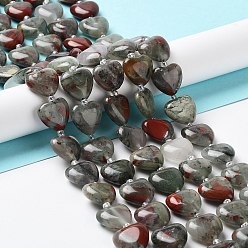Héliotrope Naturelles africaines perles bloodstone brins, avec des perles de rocaille, cœur, 14~15x15x6~6.5mm, Trou: 1.4mm, Environ 23~24 pcs/chapelet, 14.57'' (37 cm)