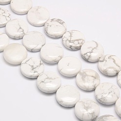 Howlite Natural Flat Round Crackle Howlite Beads Strands, 20x7~9mm, Hole: 1mm, about 20pcs/strand, 15.74 inch