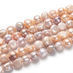 Light Salmon Natural Cultured Freshwater Pearl Beads Strands, Potato, Light Salmon, 12~18x11~17mm, Hole: 0.8mm, about 28pcs/strand, 1.36~1.38 inch(34.5~35cm)
