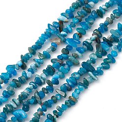 Apatite Perles naturelles apatite brins, puce, 4.5~8.5x3.5~7x3~5mm, Trou: 1mm, Environ 290~300 pcs/chapelet, 30.71'' (78 cm)