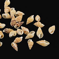 Perú Cuentas de concha de caracol naturales, ningún agujero, Perú, 10~20x5~10x5~10 mm, Sobre 1700 unidades / 500 g