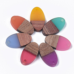 Couleur Mélangete Pendentifs en bois de résine et de noyer, ovale, couleur mixte, 20x11x3.5mm, Trou: 1.8mm