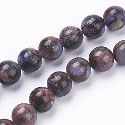 Brun Saddle Brins de perles de glaucophane naturel, ronde, selle marron, 8~8.5mm, Trou: 1mm, Environ 47 pcs/chapelet, 15.3~15.5 pouce (39~39.5 cm)
