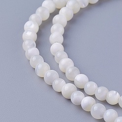 Autres Coquillages De Mer Chapelets de perles de coquillage, ronde, 3.7~4.5mm, Trou: 0.8mm, Environ 103 pcs/chapelet, 15.86 pouce (40.3 cm)