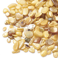Goldenrod Shell Beads, No Hole Beads, Dyed, Chip, Goldenrod, 1~15x1~15x0.5~5mm, about 450g/bag