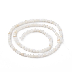 Creamy White 125Pcs Natural Freshwater Shell Beads, Dyed, Round, Creamy White, 3mm, Hole: 0.5mm