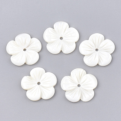 Blanc Perles de coquille d'eau douce, fleur, blanc, 23~24x23~24x3mm, Trou: 2mm