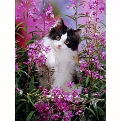 Flor de Orquídea Kits de pintura de diamantes con tema de gato rectangular diy, incluyendo lienzo, diamantes de imitación de resina, bolígrafo adhesivo de diamante, plato de bandeja y arcilla de cola, orquídea, 300x400 mm