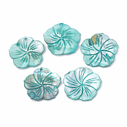 Turquoise Freshwater Shell Pendants, Dyed, Flower, Turquoise, 41~44x42~45x2~4mm, Hole: 1.5mm