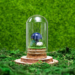 Sodalite Glass Dome Cover with Natural Sodalite Mushroom Inside, Cloche Bell Jar Terrarium with Cork Base, Micro Landscape Garden Decoration Accessories, 30x55mm