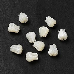 Seashell Color Natural Trochid Shell/Trochus Shell Beads, Flower, Seashell Color, 7x6mm, Hole: 1mm